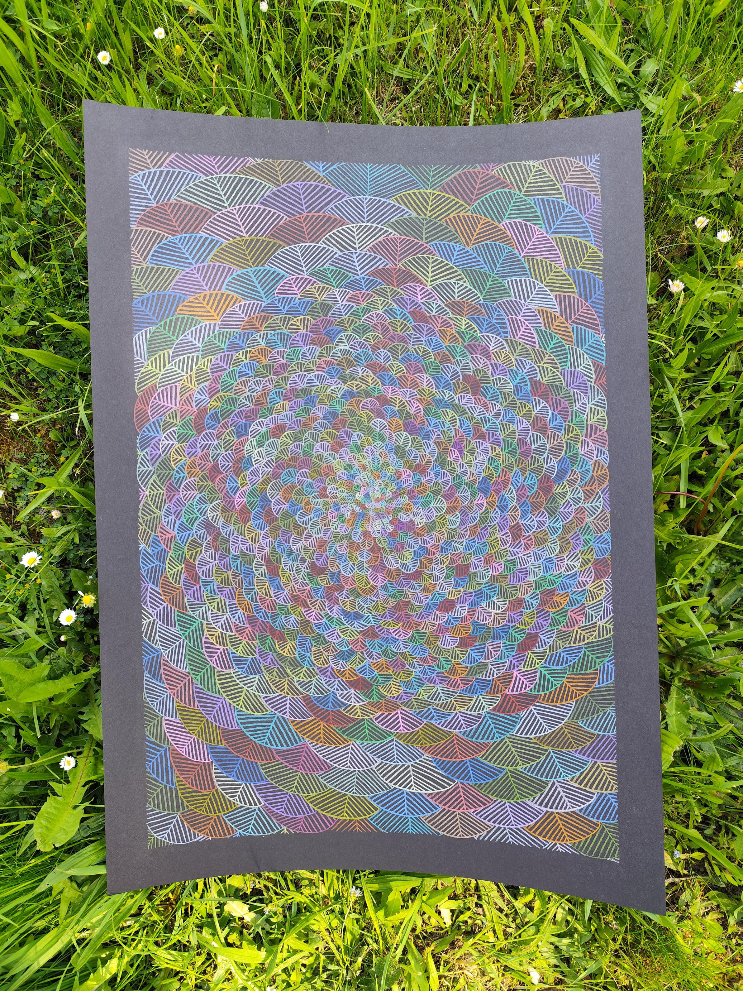 Blätterrauschen 70x50